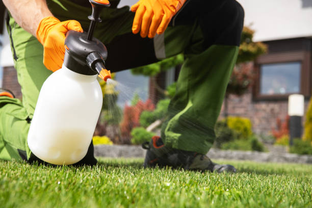 Massac, KY Pest Control Company