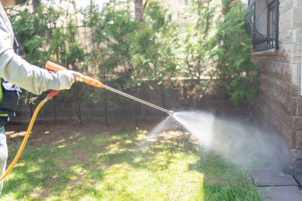 Best Spider Control Near Me  in Massac, KY
