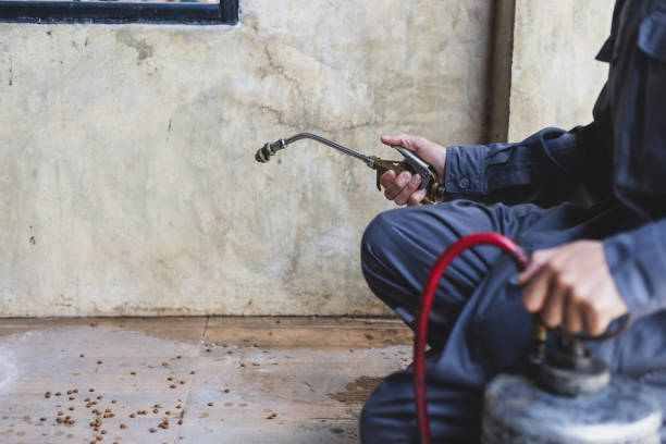 Best Residential Pest Control  in Massac, KY