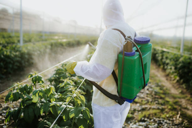 Pest Prevention Services in Massac, KY